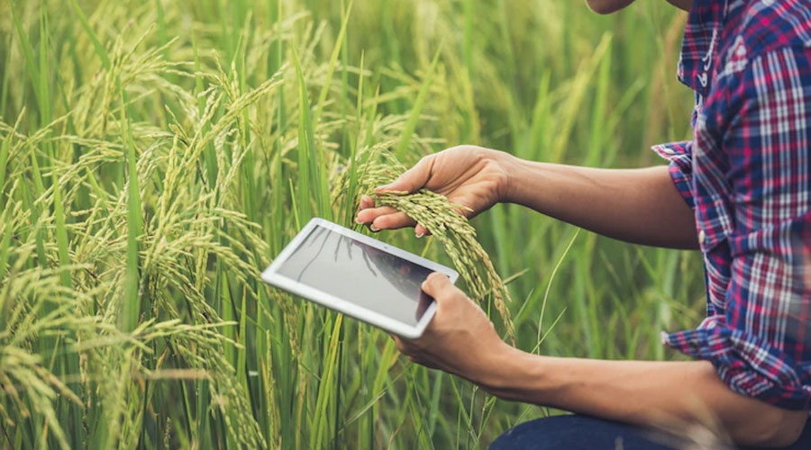 Agriculture Industries